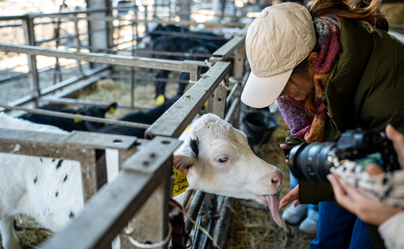 【レポート】高秀牧場さんの牧場体験
