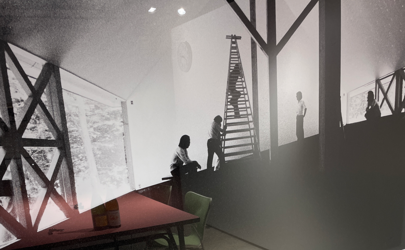 新種のimmigrationsとは