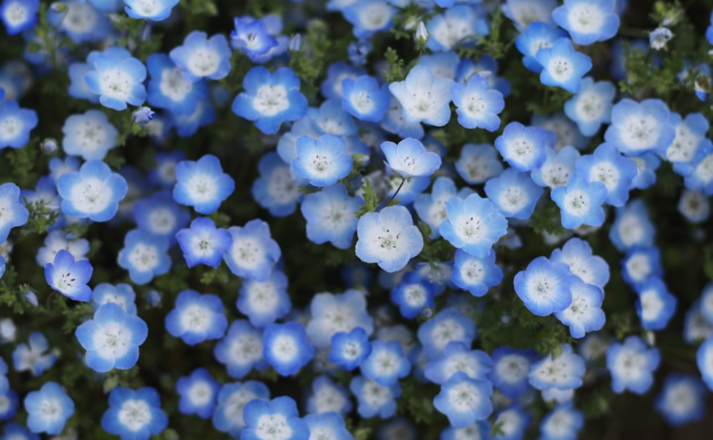 ミドルエイジ・クライシスを乗り越えたい！②