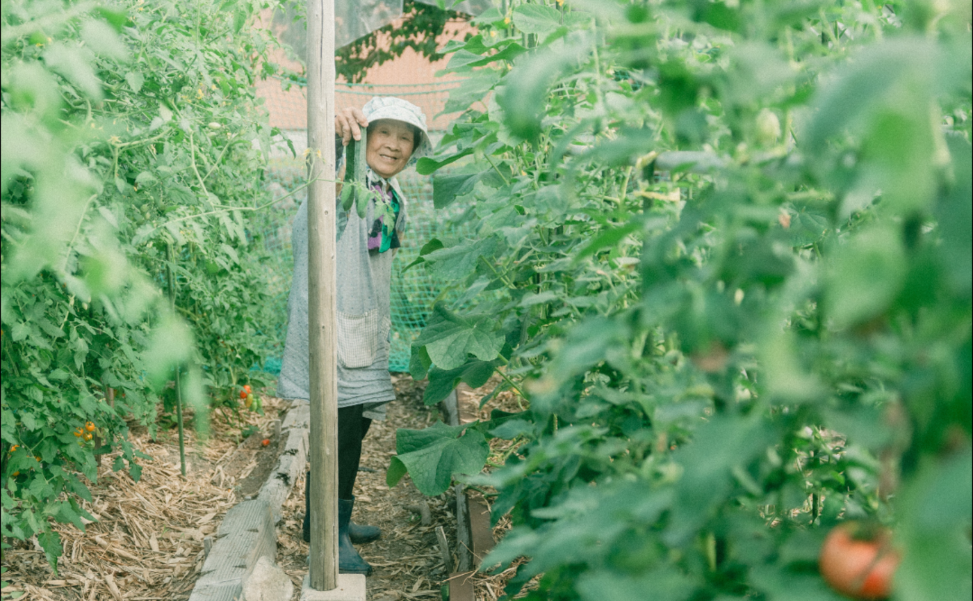 2024年12月写真塾「自分の写真を纏める力」結果発表