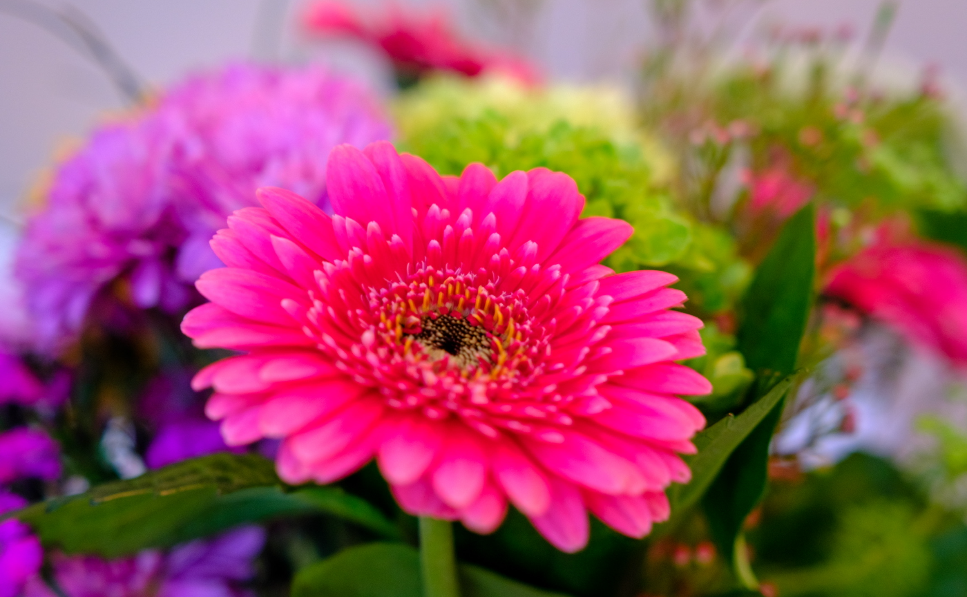 40 Day Ritual【40日間で最高の習慣を身につける♬】