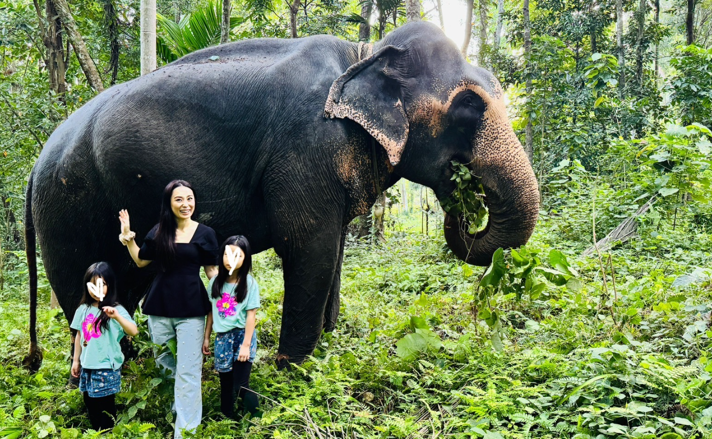 のまみか スリランカ旅行