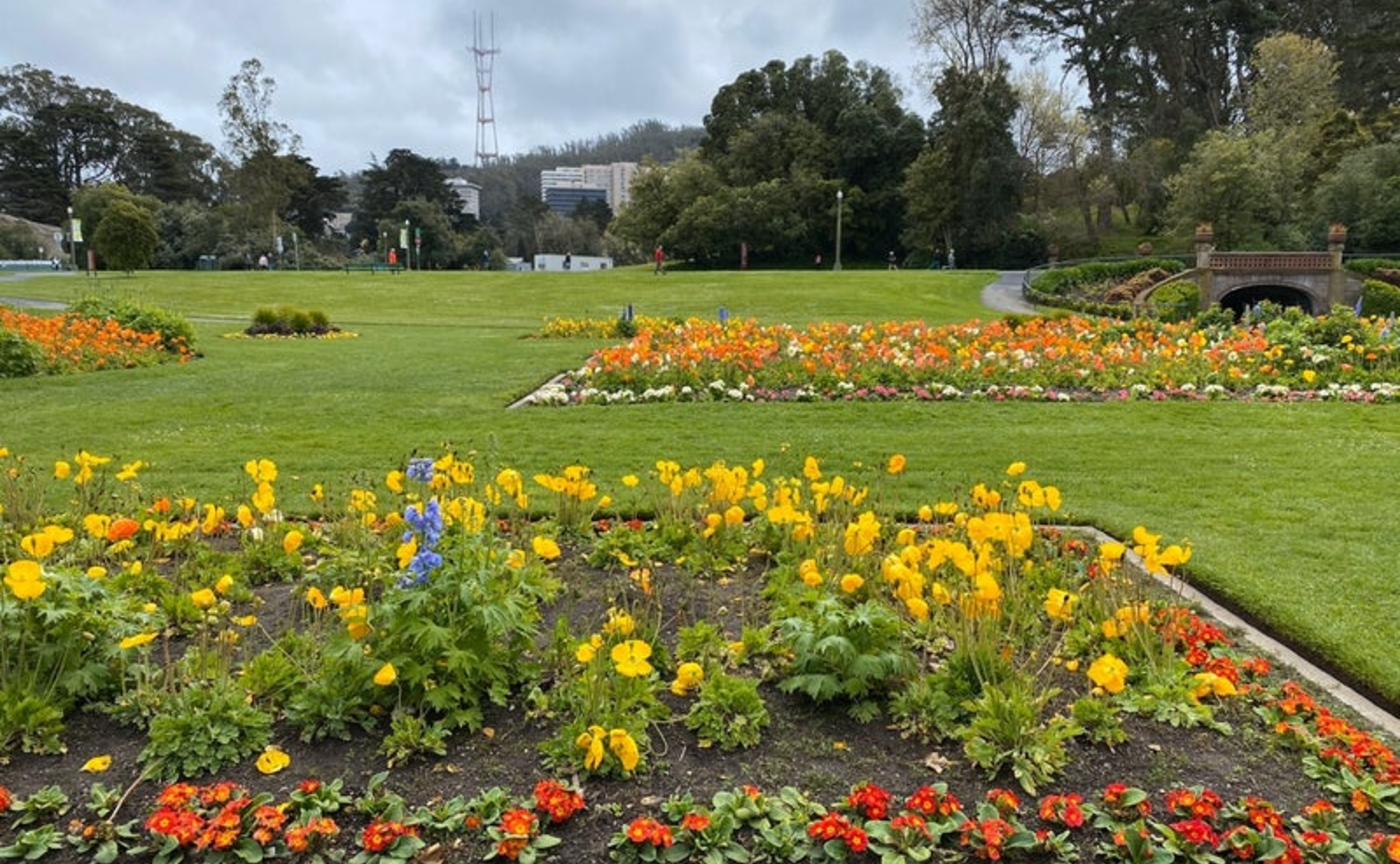 愛を伝染する人たち