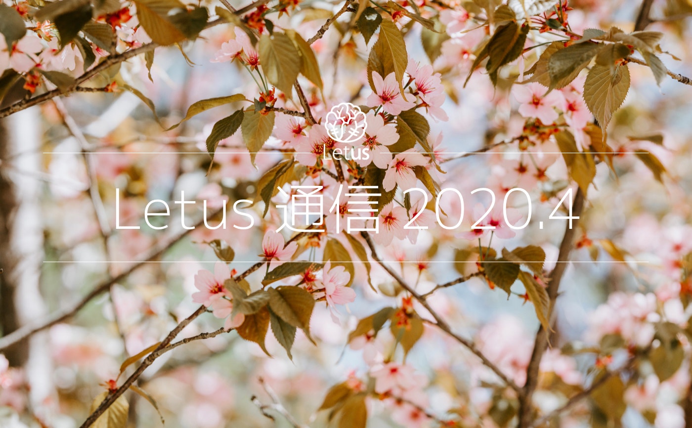Letus活動日記　〜Letus通信4月号〜
