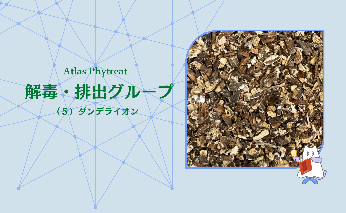 (5)解毒・排出グループ ダンデライオン