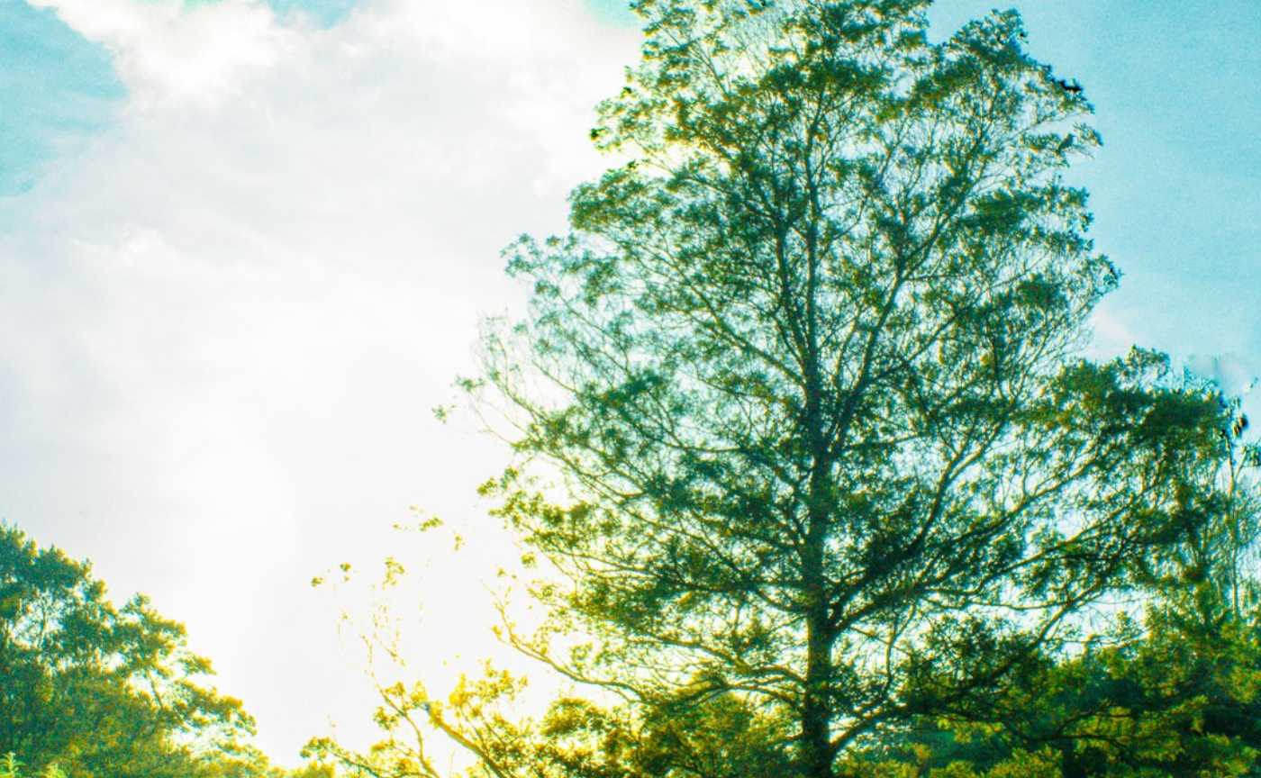 自由進度学習とは何か – 背景と目的
