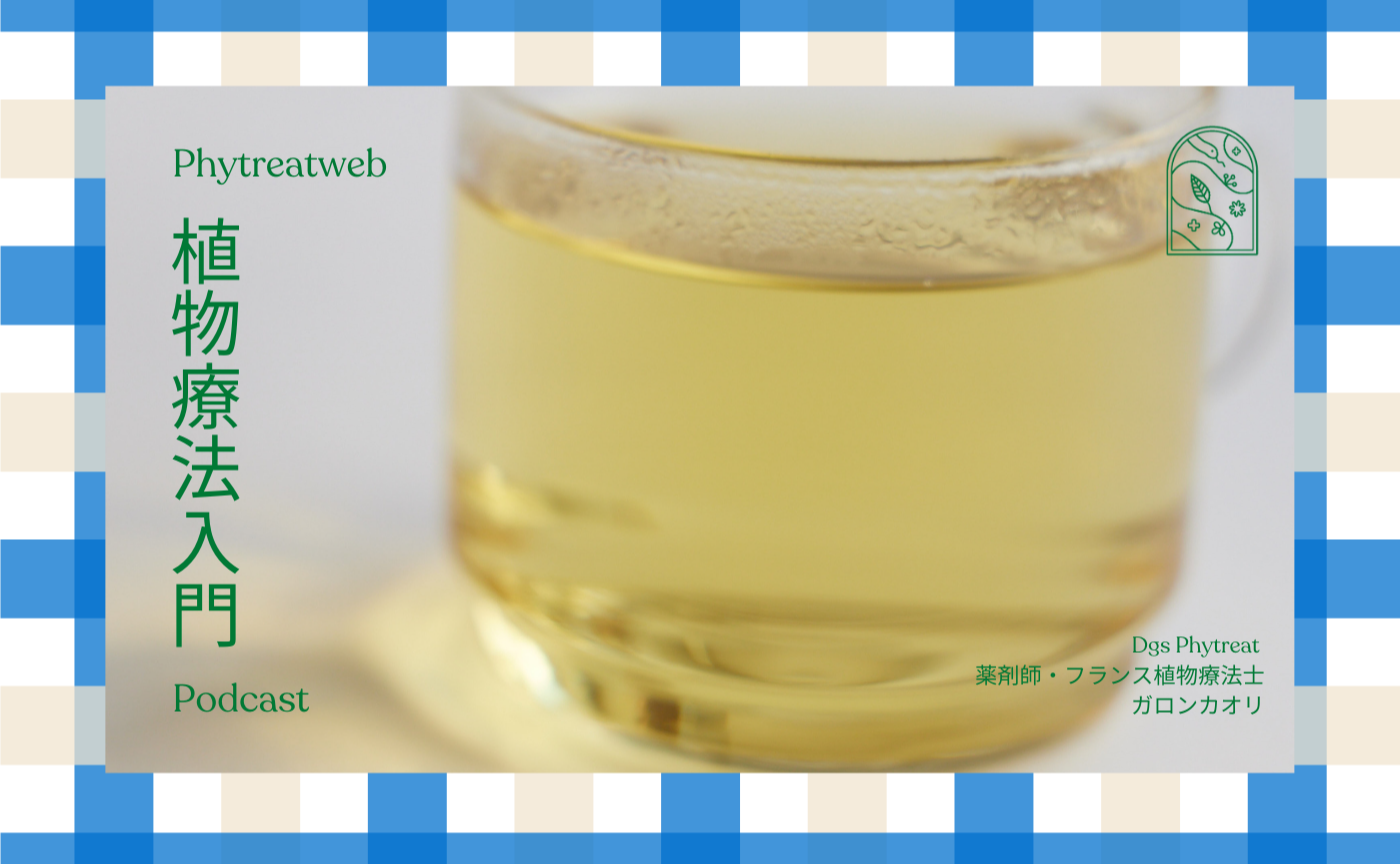 Phytreat植物療法入門 2025年3月-8月 募集開始します