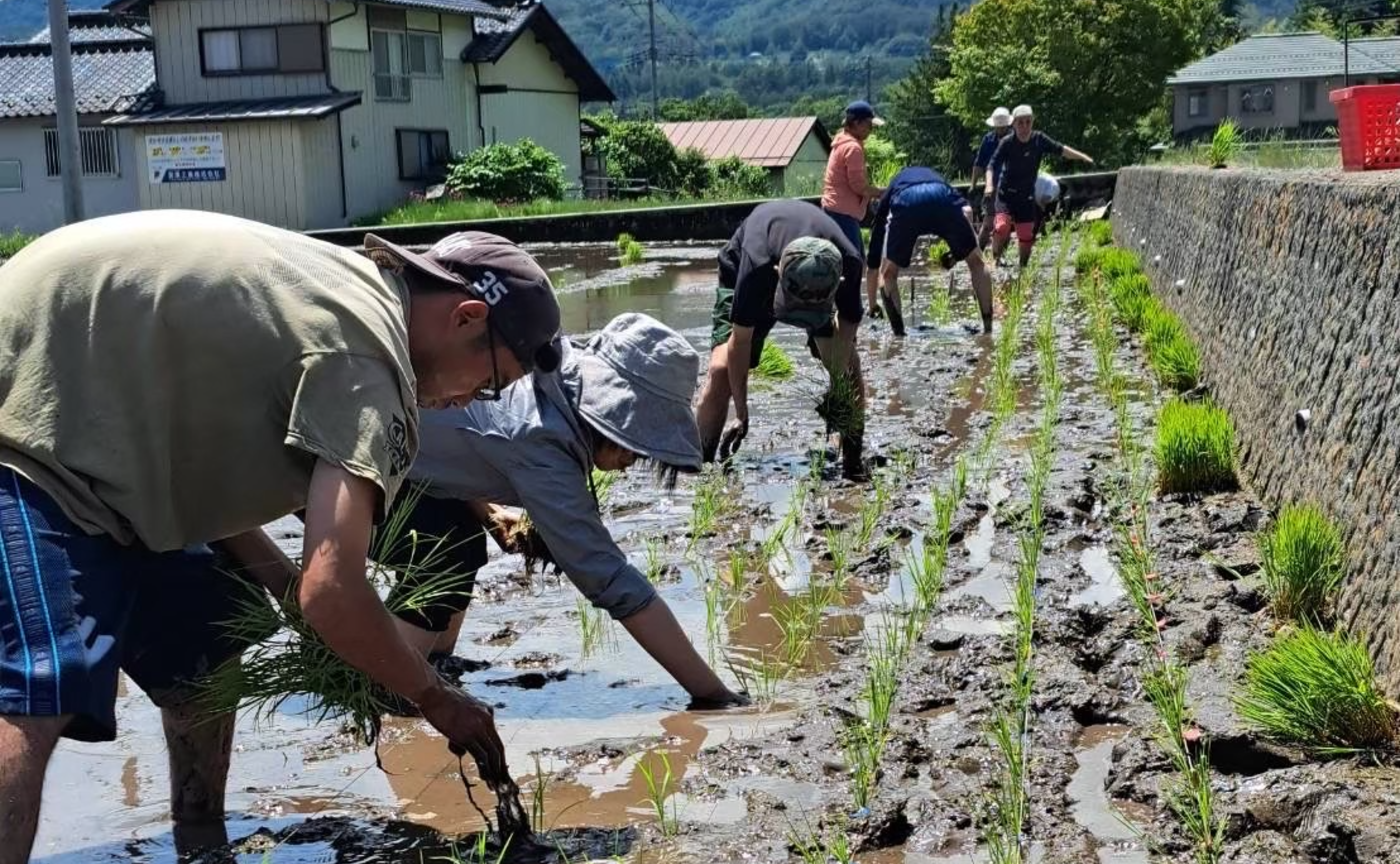 お米づくり講座申し込み