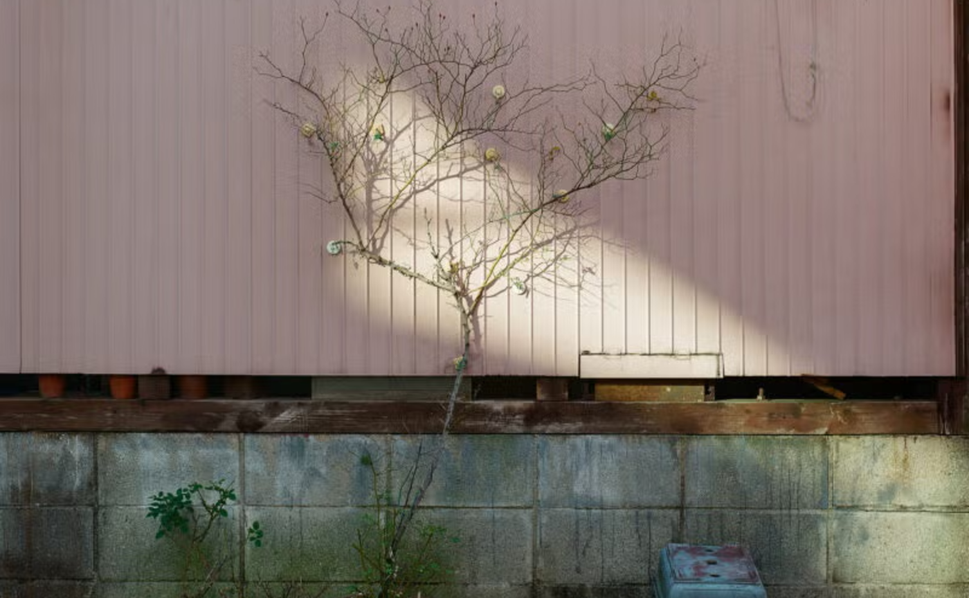 身近な風景から心を震わす写真をすくい取る、写真家イケダサトルさんを招いた夜の写真トーク会!