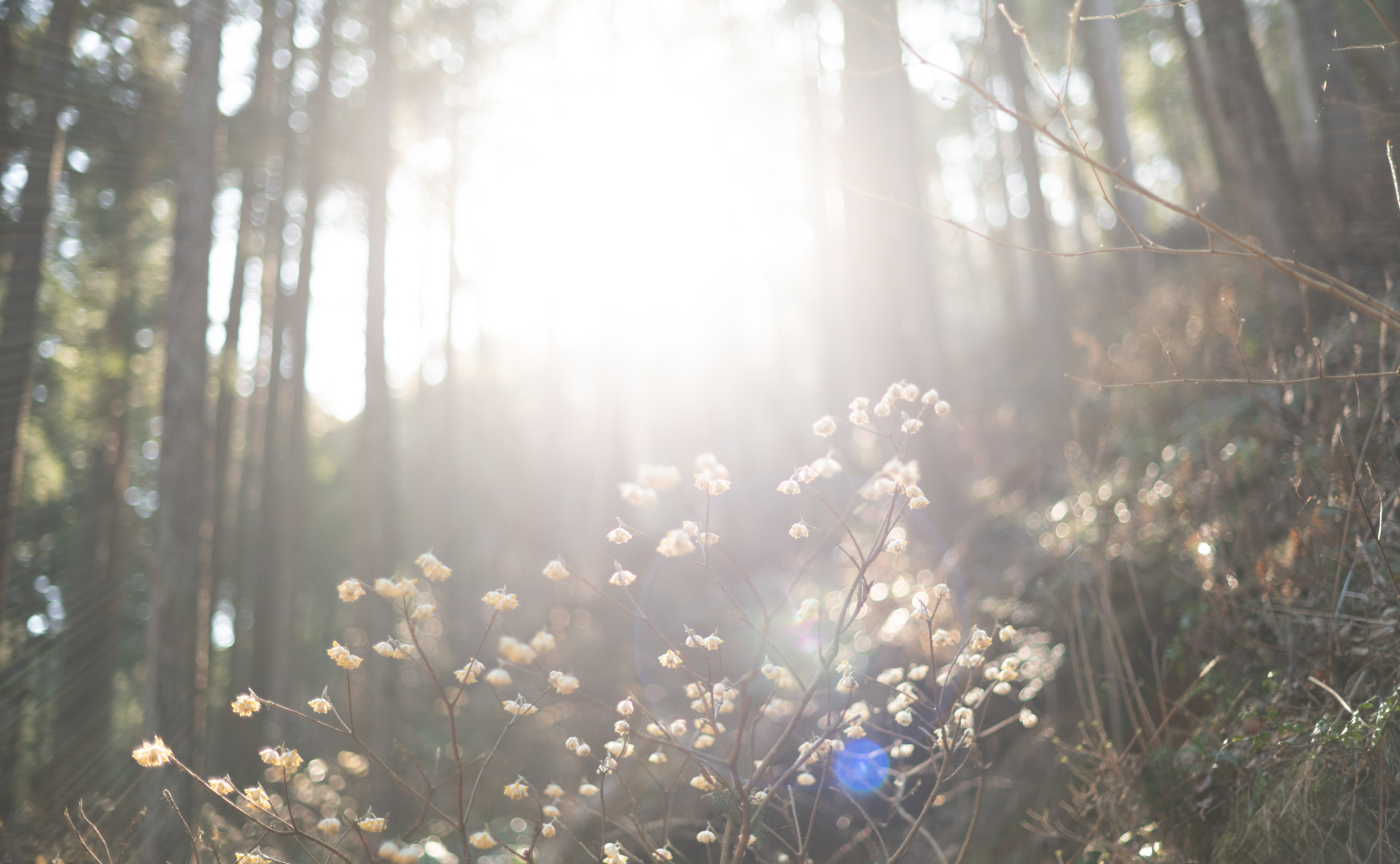 写真を撮ると自分がわかる