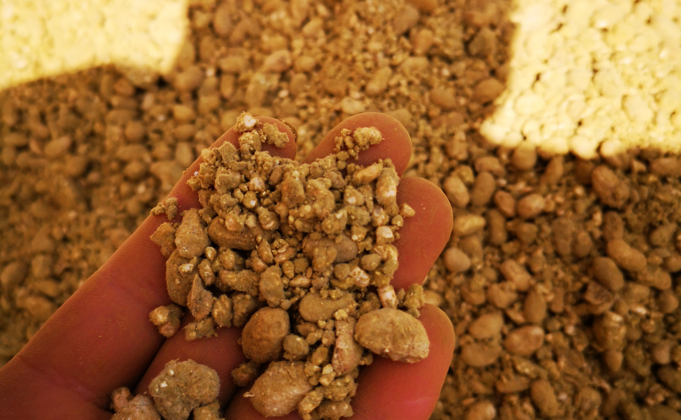 手前醤油づくり！