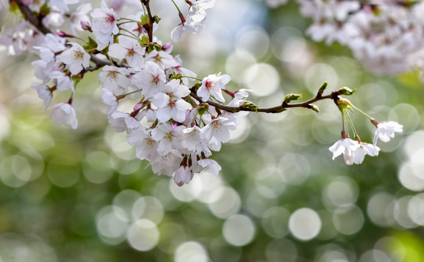 新任教師が準備したい文房具・備品