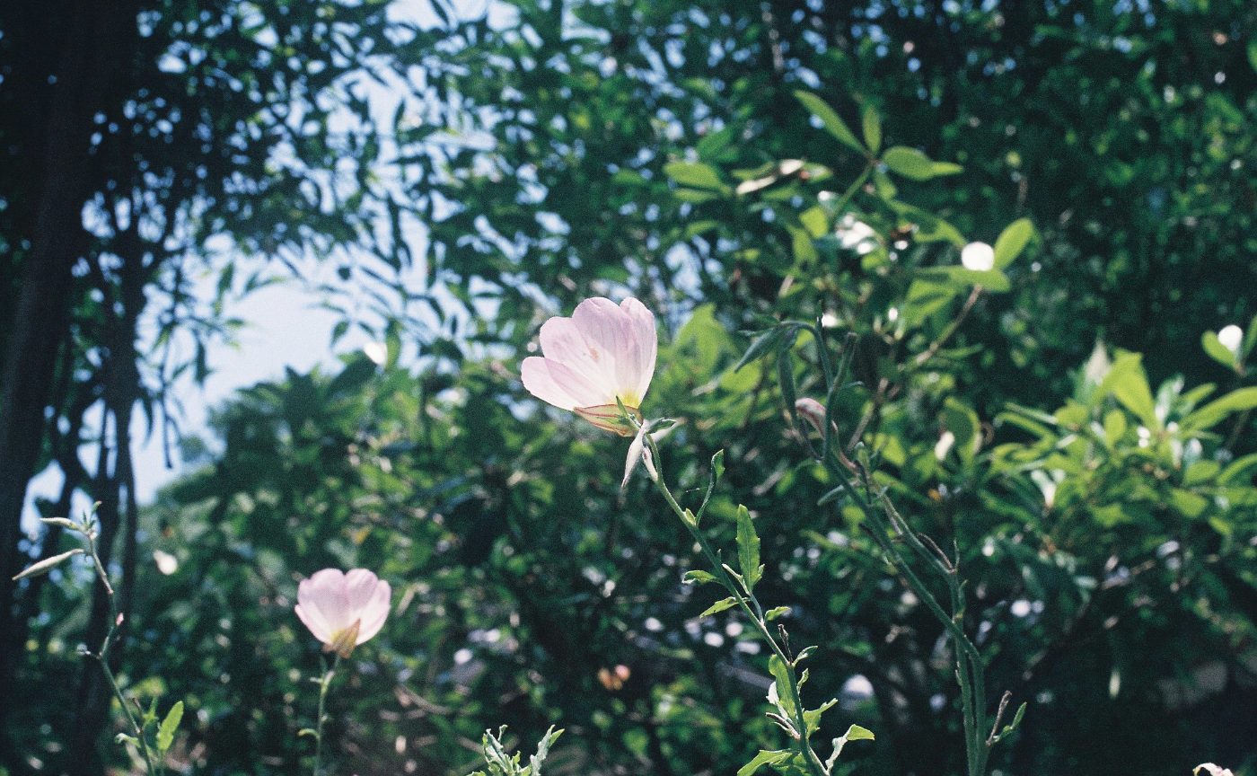 そんちょー報|Vol.13