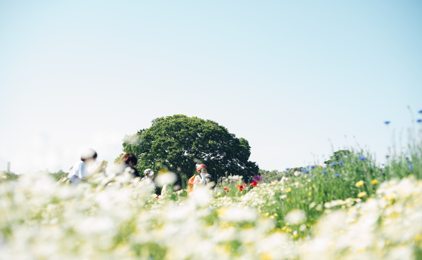 死ぬこと以外かすり傷(と思った)
