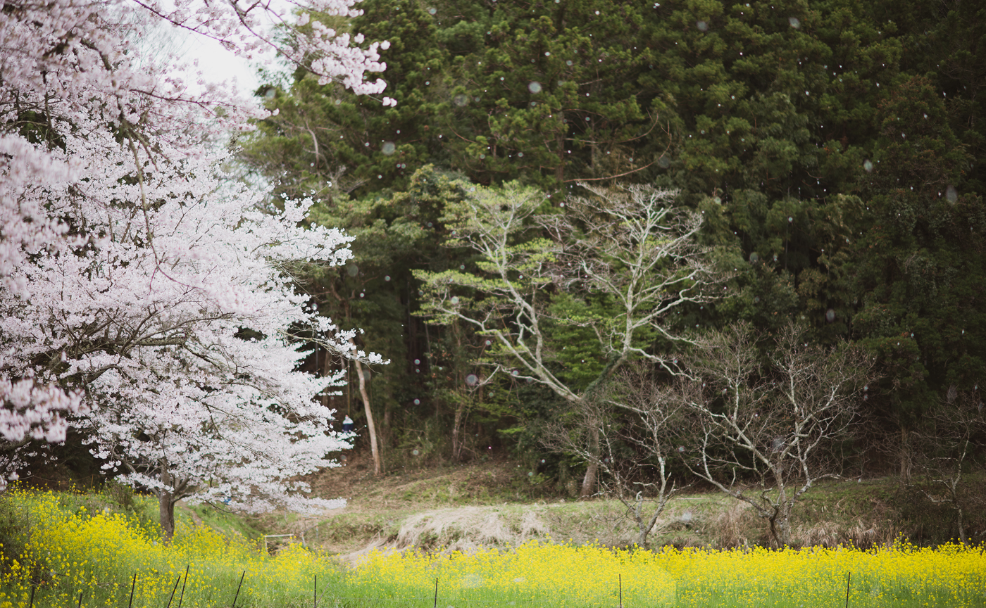 撮られるまでにやっておくとよいこと
