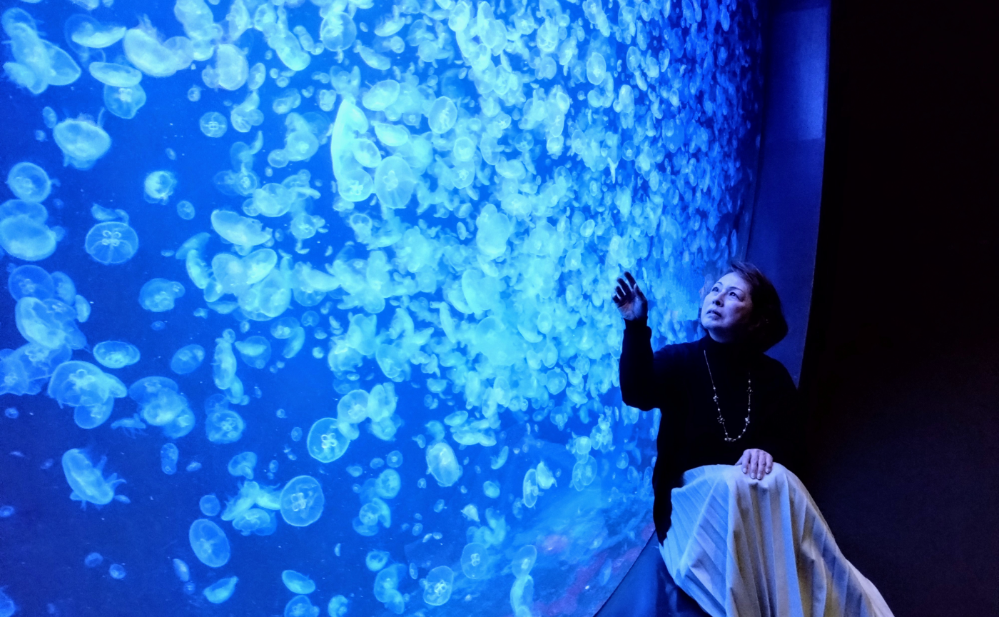 【キュン♡パス】加茂🪼水族館と街フォトウォーク📷️✨