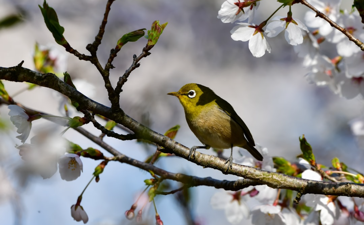 【外部公開用】進級説明会&相談会