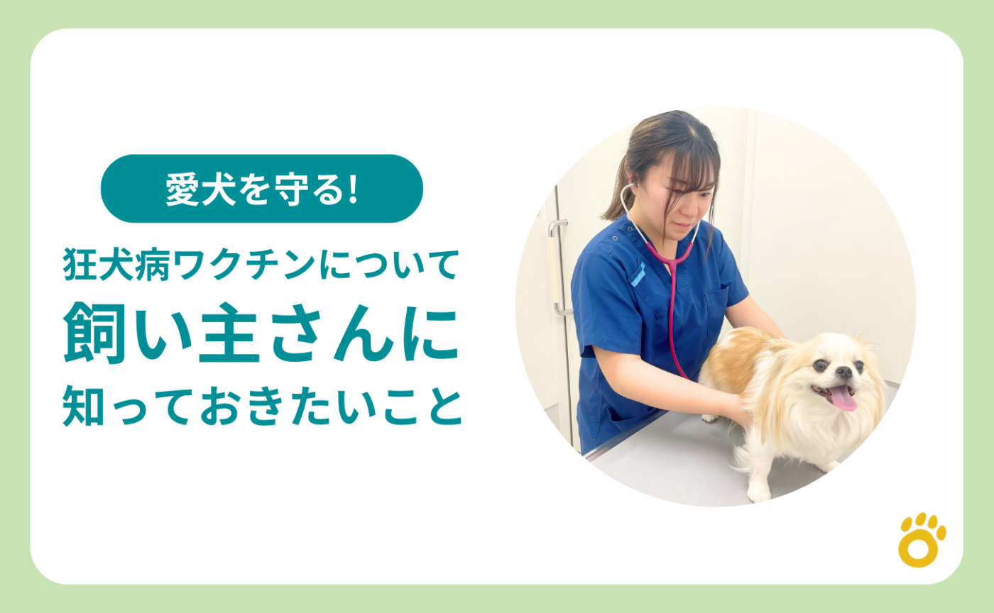 愛犬を守る！狂犬病ワクチンについて飼い主さんに知っておいてほしいこと