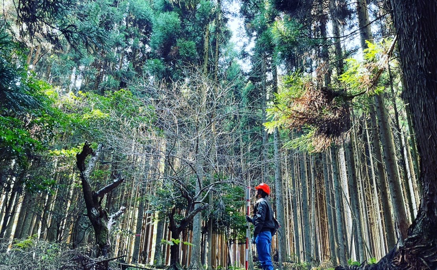 ナラティブインタビュー前編： 林業の可能性を信じ、未来を作るアトツギ（芦田さん）[1]