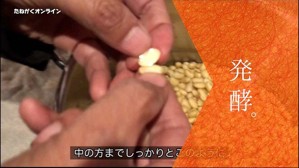 【醤油麹作り】 1.大豆を茹でる