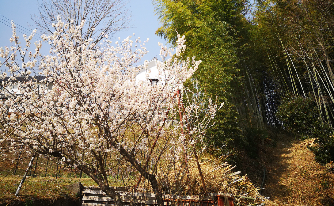 オフグリッドでぬくぬく温かい　踏み込み醗酵温床