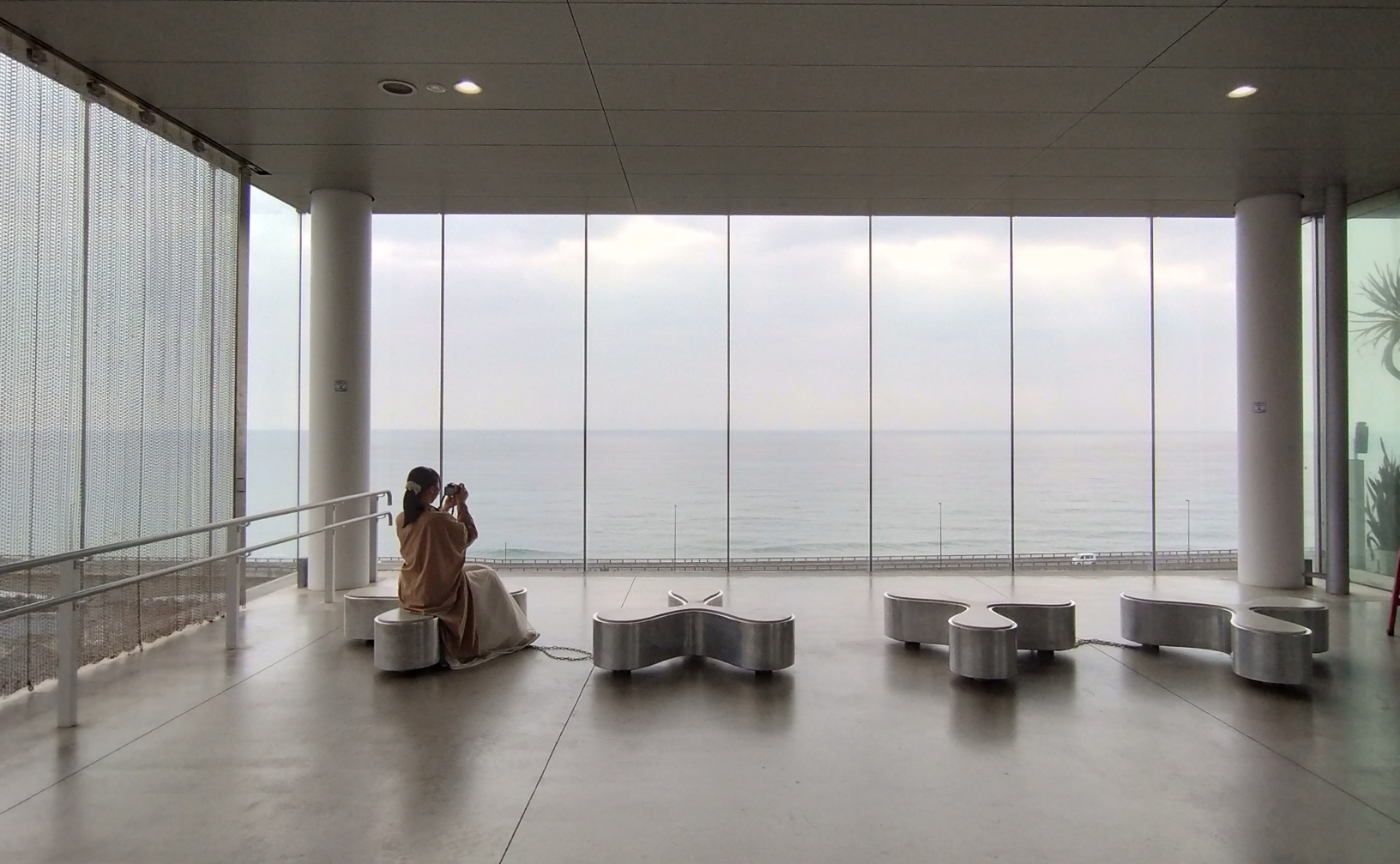 🐻まめると一緒に茨城さんぽ💕