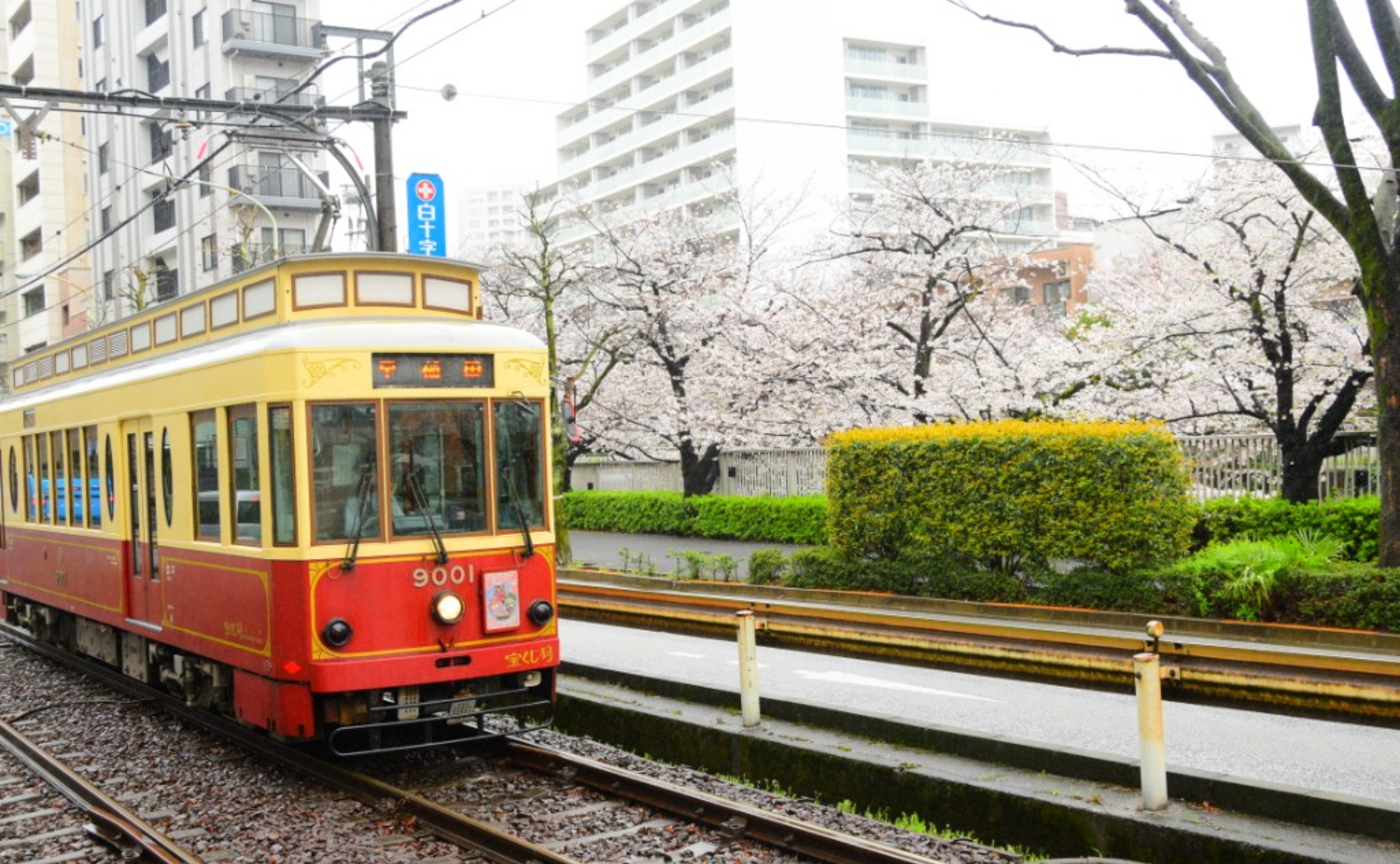 【レポート】雨の中の都電たび☂