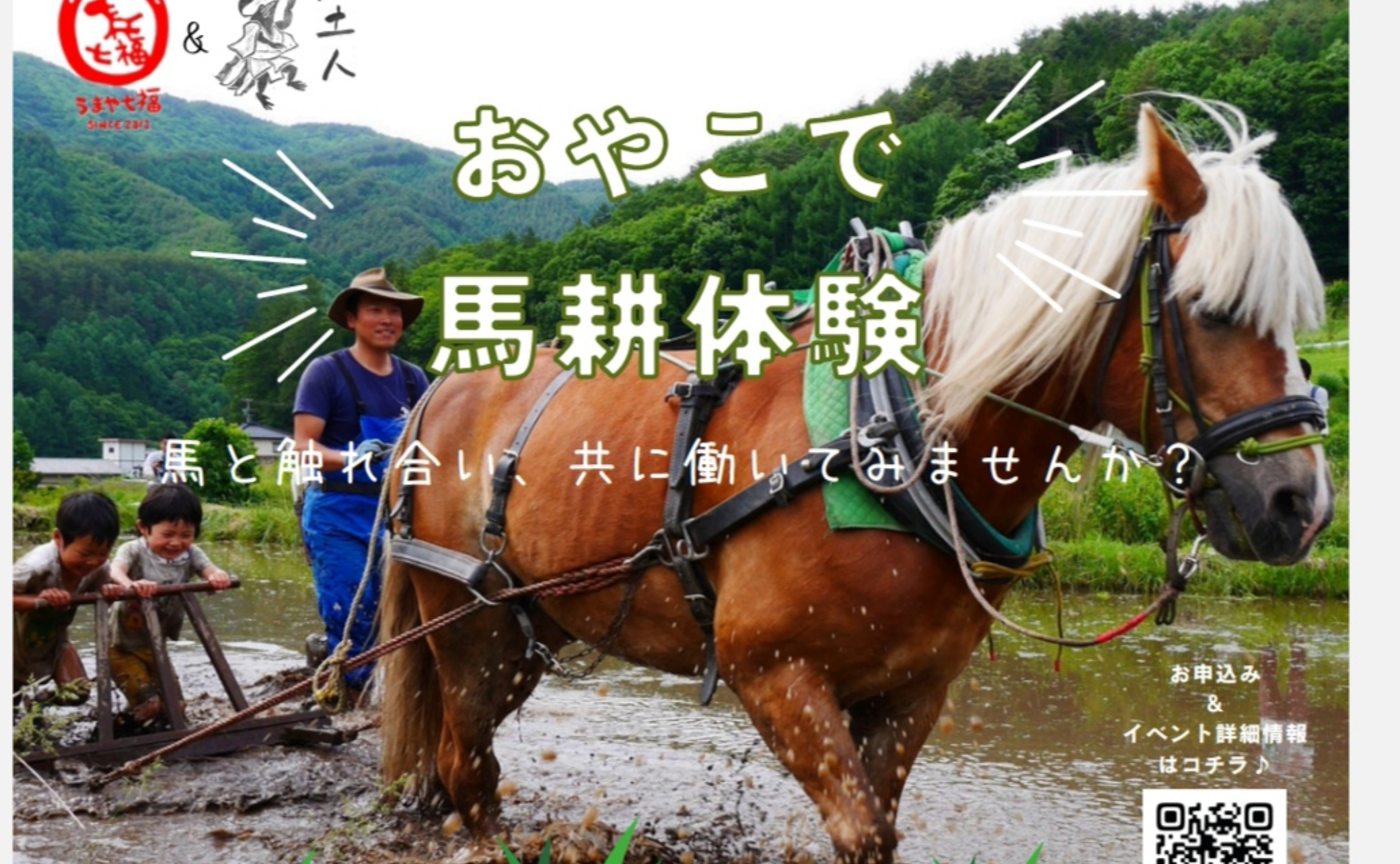 馬と一緒に★馬耕体験会!(雨土人主催イベント)