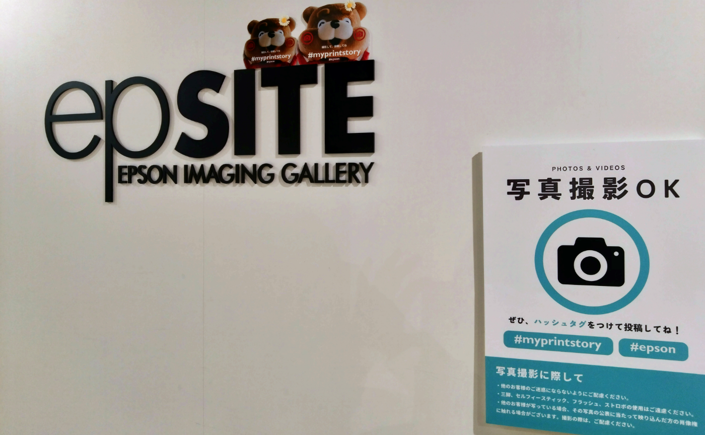 来てね🐻『写真のある暮らし展』