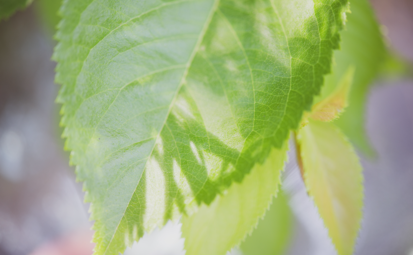 「外で撮られたい」ときに気をつけたいこと