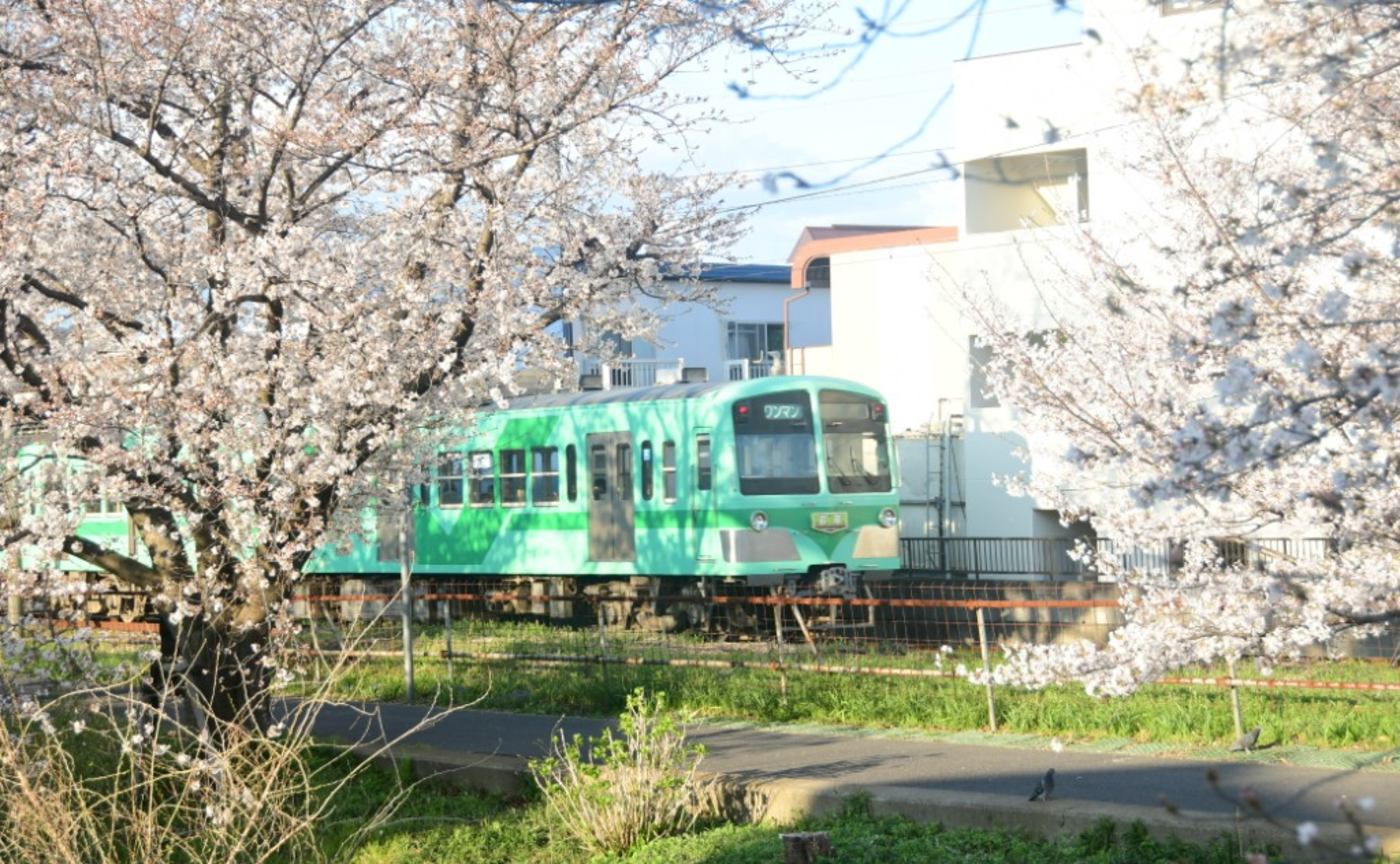 【レポート①】春を探しに流鉄流山線に乗って🌸