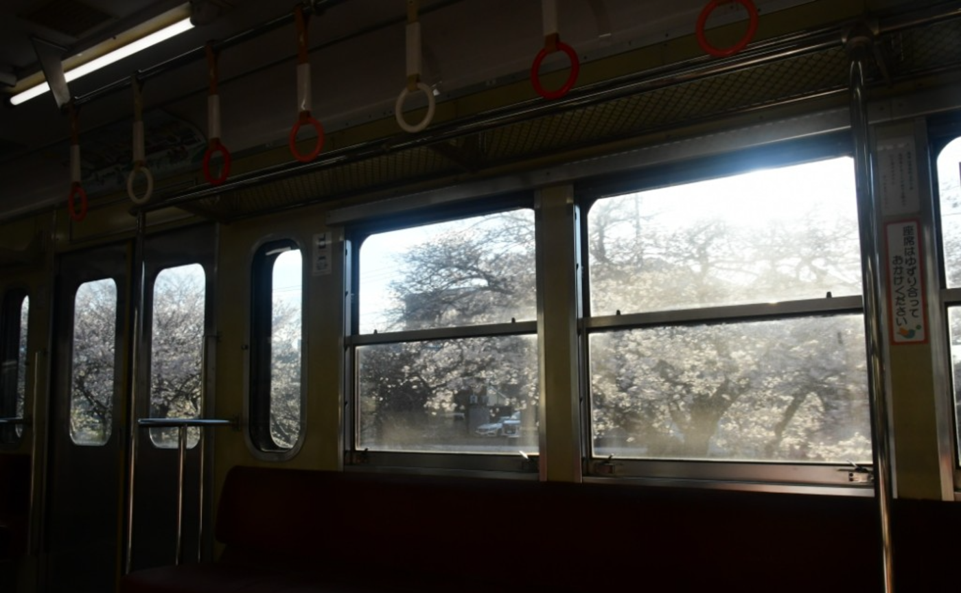 【レポート③】春を探して流鉄流山線に乗って🌸