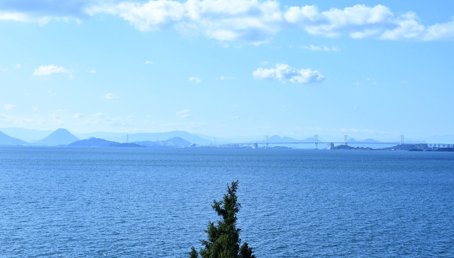 月刊Wasei Salon 5月号