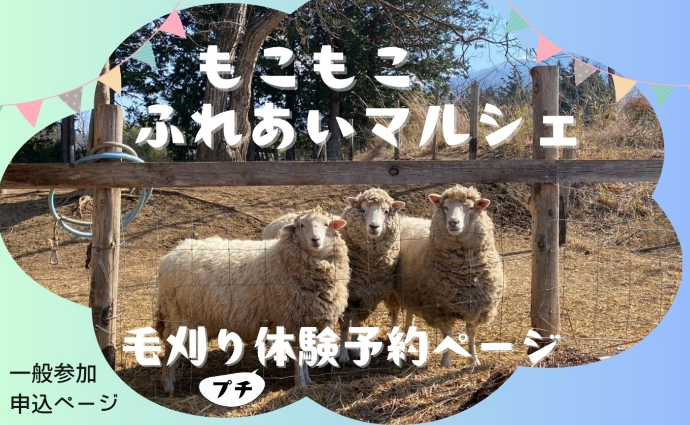 【5/7延期開催となりました】【一般体験予約専用ページ】5/6（火・祝）開催☆ もこもこふれあいマルシェ・毛刈り体験予約
