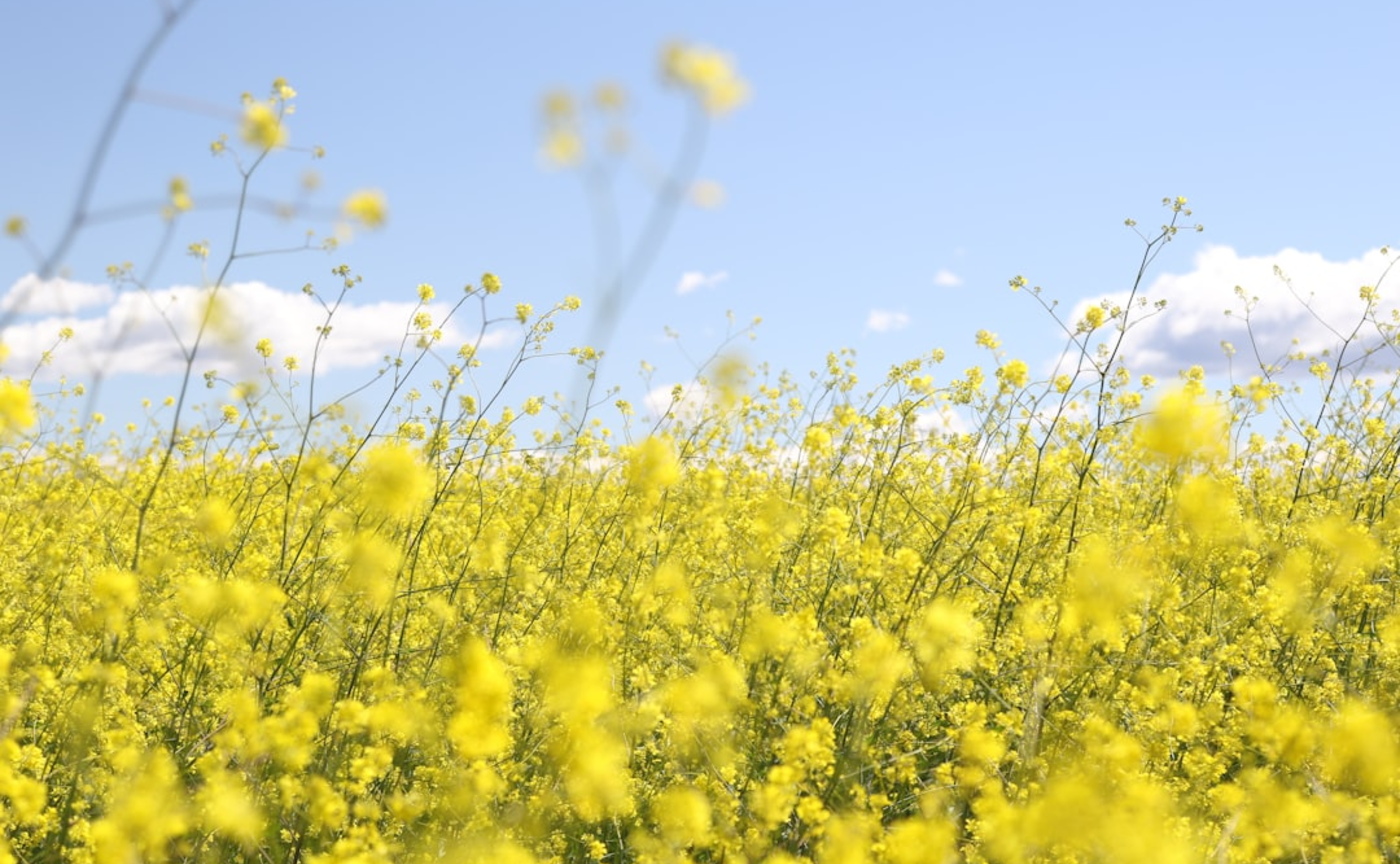 #49 新しい環境、新しい関係「この人は、どんな人?」