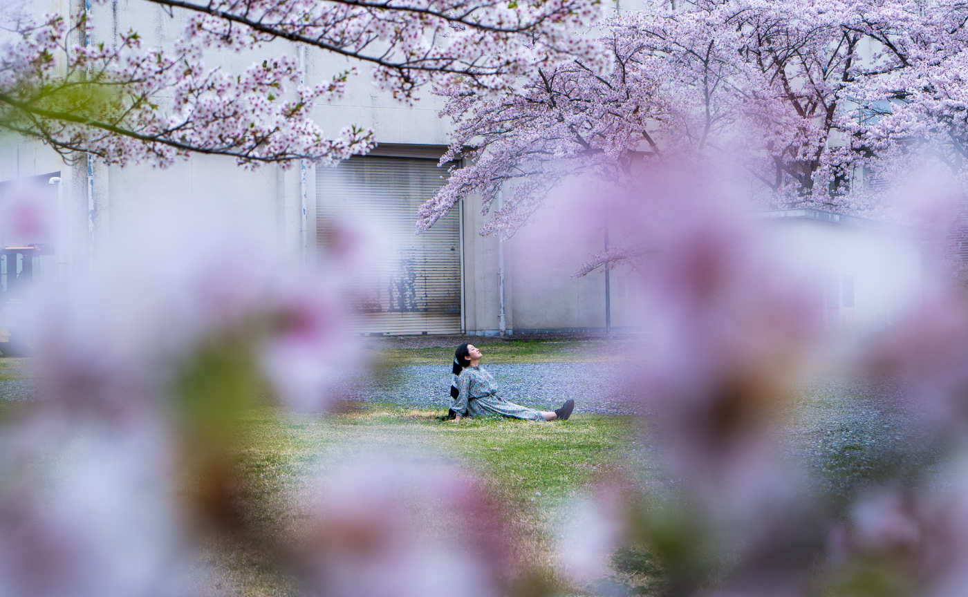 私の桜前線🌸