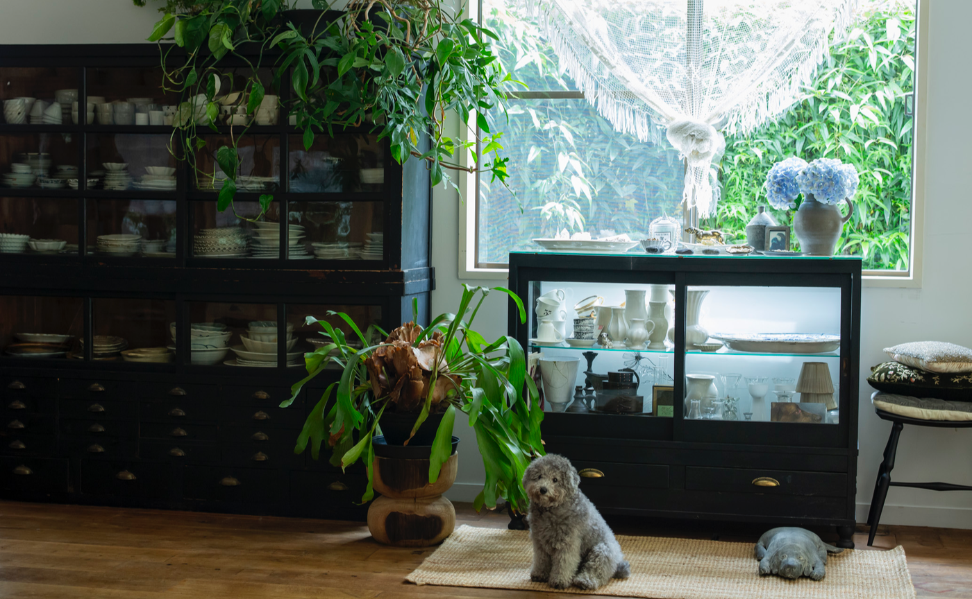 黒の水屋箪笥とショーケース──雅姫さんのダイニングにあるふたつの食器棚のはなし