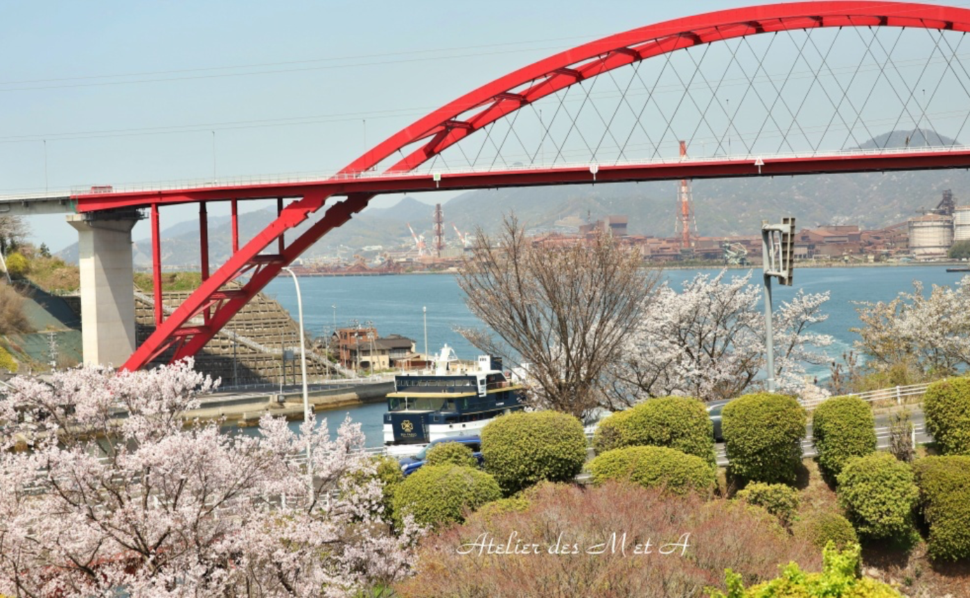 🌸桜満開の音戸の瀬戸公園で赤い音戸大橋とシーパセオ⛴️