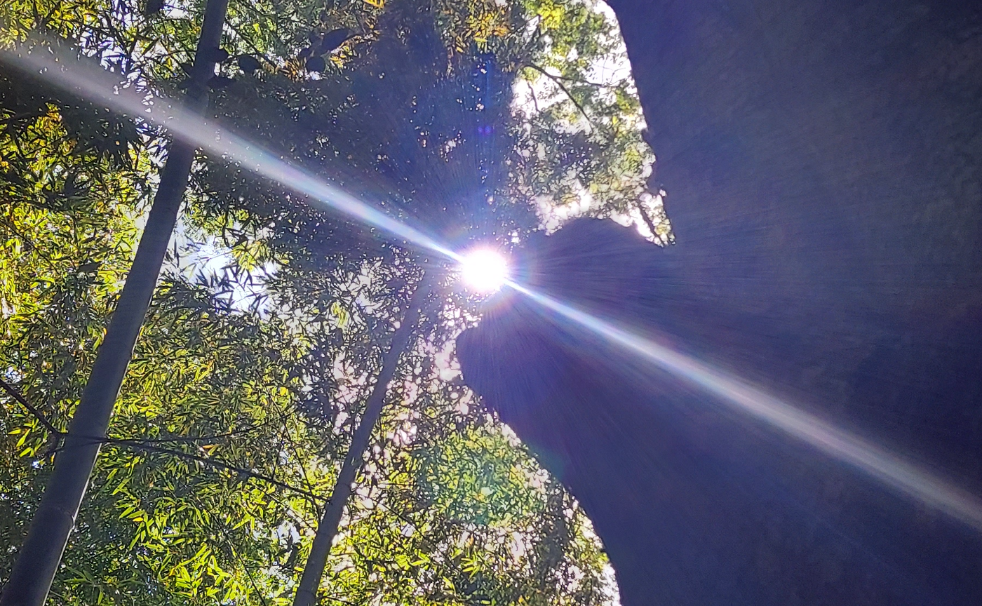 ポジティブ or ネガティブ？