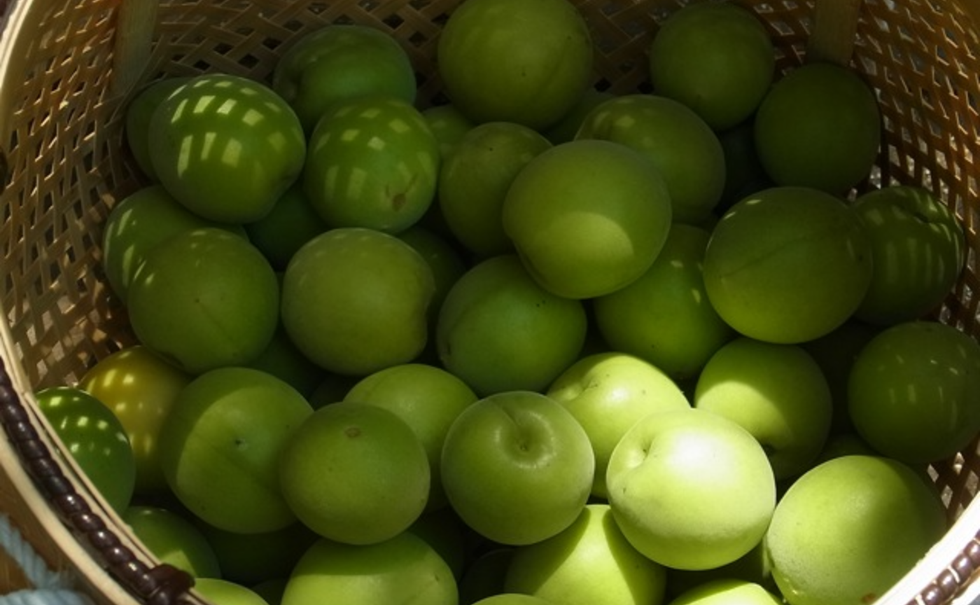 季節の手しごと｜旧暦・端午の節供の梅しごと（スパイス梅漬け）【6/9(月)の回】