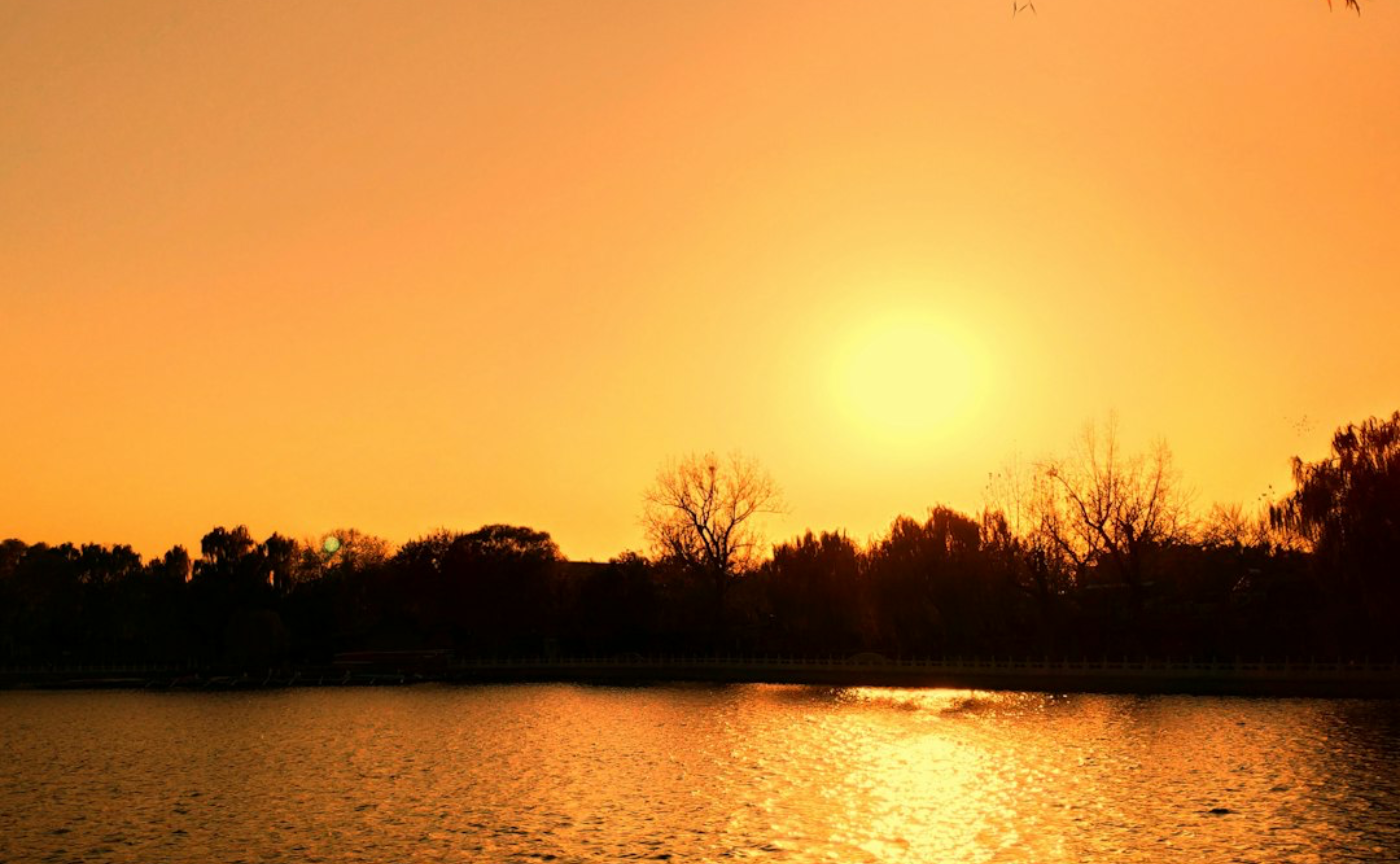 ブログ7 「学級経営とファーストチェス理論」