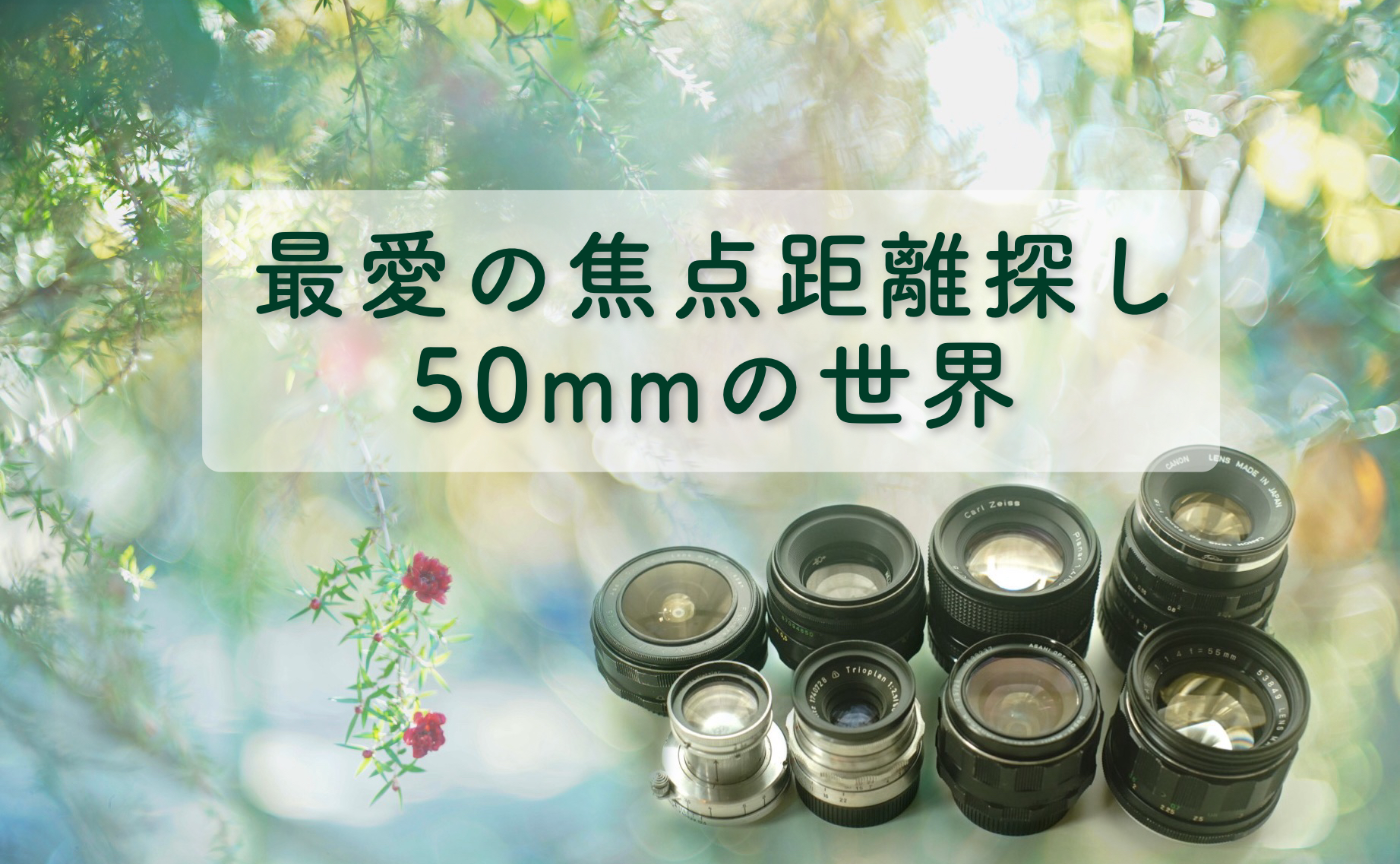 【最愛の焦点距離をさがす】50mmの世界