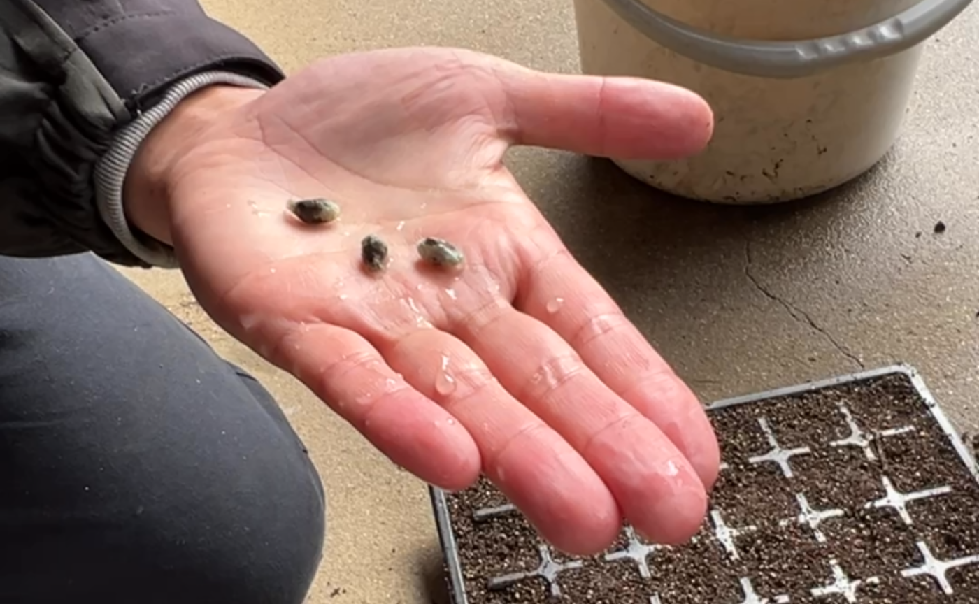 種から未来のコミュニティーへ part2 seed to future