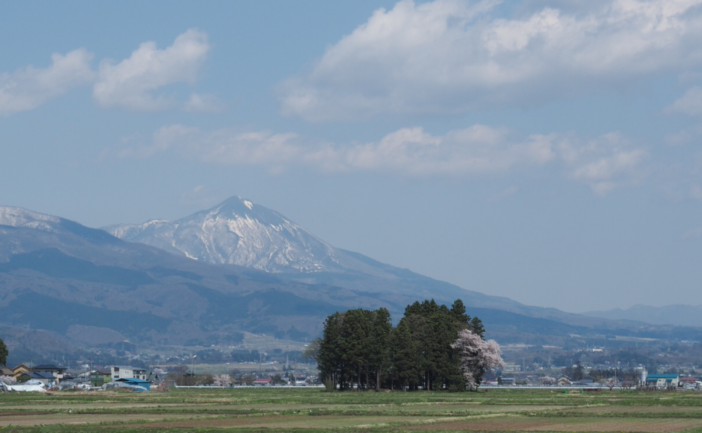 【参加レポ】桜をめぐる会津旅