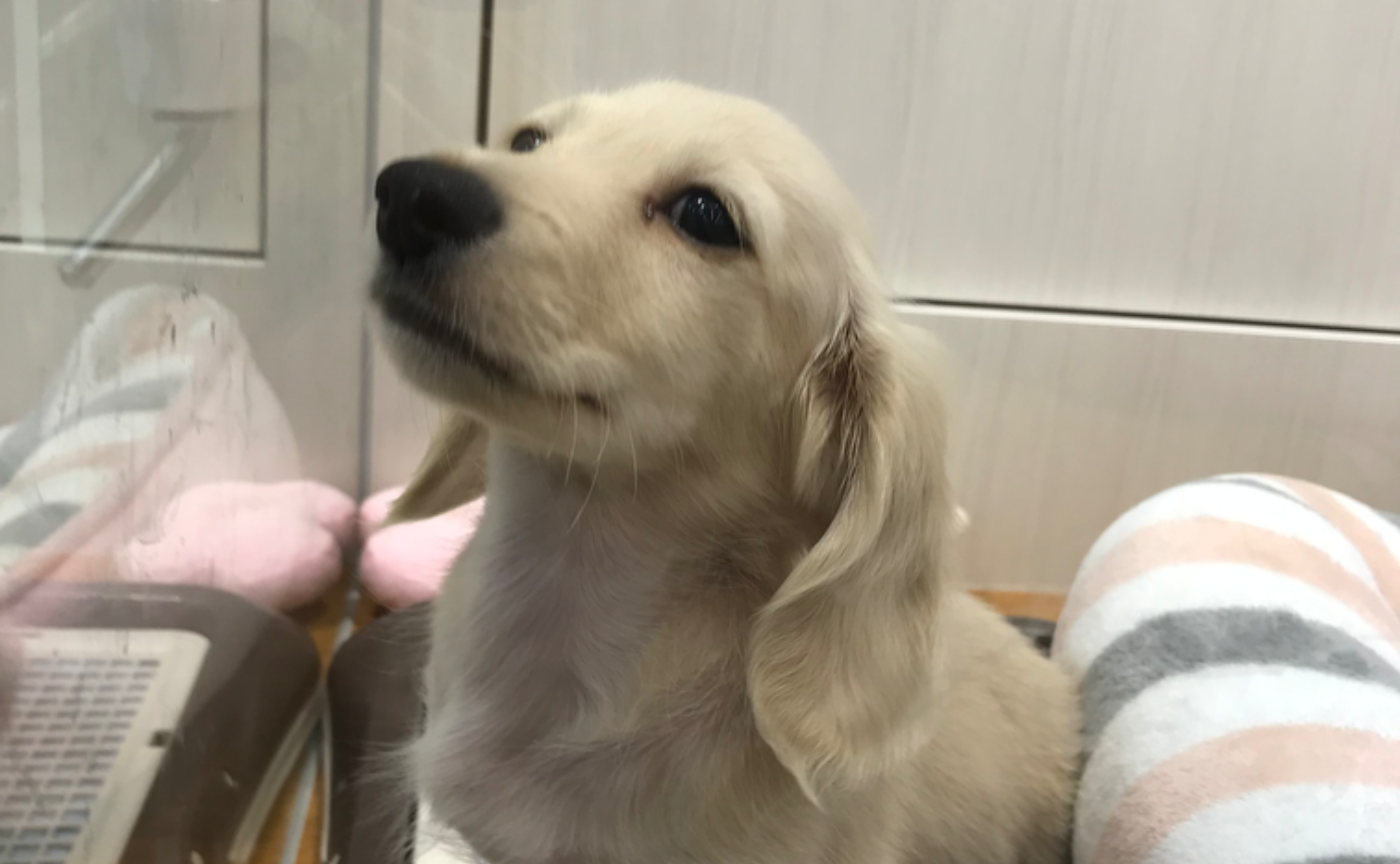 出会った頃の写真みせて😍