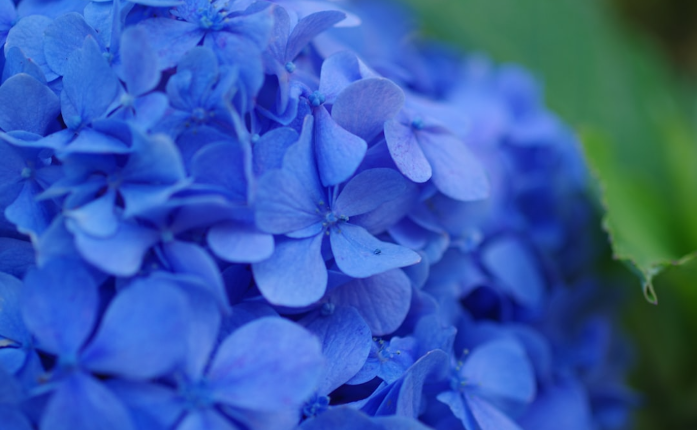 会社員からの転機──私が講座を始めた理由
