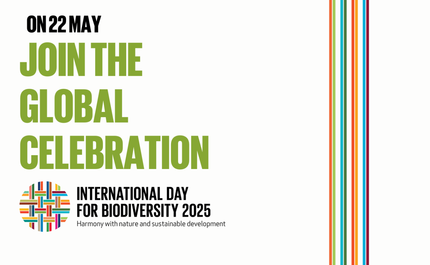毎年5月22日は「国際生物多様性の日🌱」!