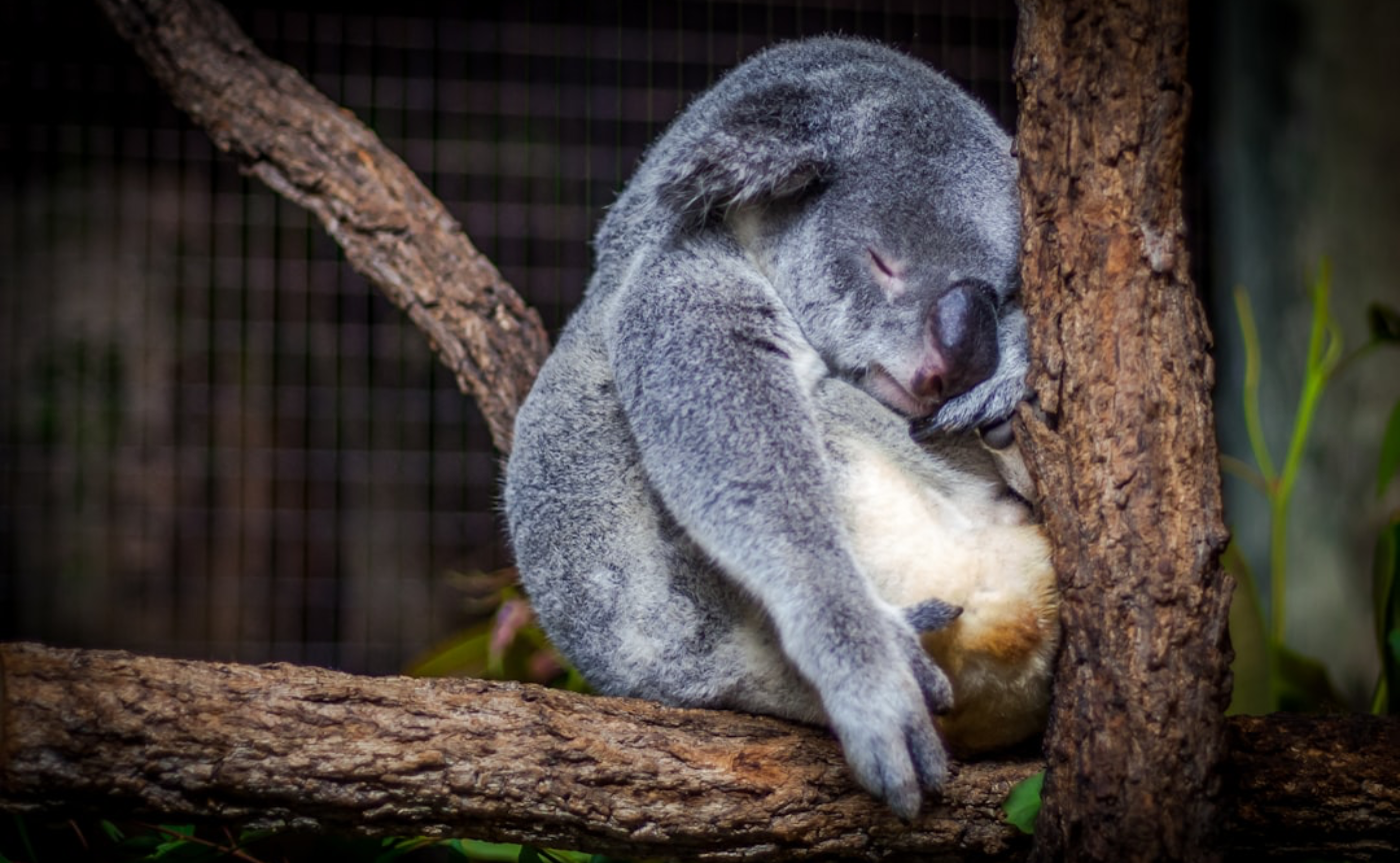 久しぶりの6000mオーバーの練習