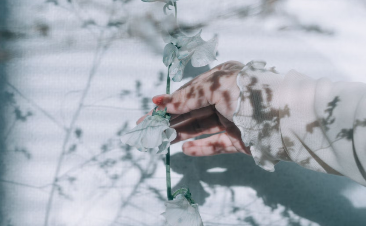 komoさん｜フォトキャスト