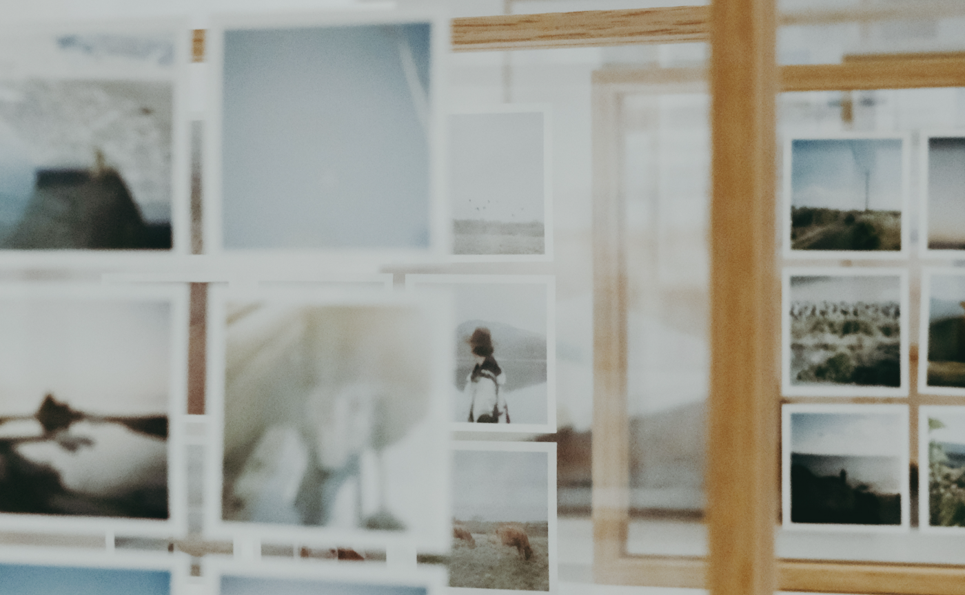 「写真のある暮らし展」開催レポート